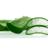 DUOLIFE Aloe Daily Shampoo 210 ml