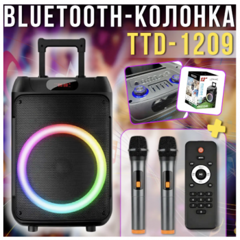 Колонка Bluetooth Wireless Speaker TTD-1209 з мікрофонами і пультом ДУ