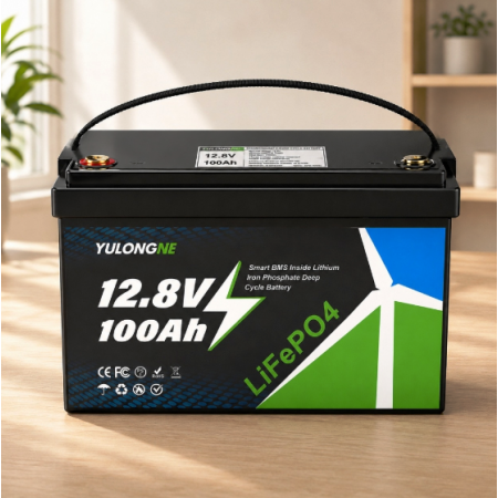 LiFePO4 12V 100Ah Акумулятор Yulongne 1280Wh, 100A, BMS