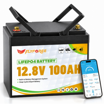 LiFePO4 12V/100Ah Акумулятор FLYFOREE Вбудована BMS, Bluetooth APP